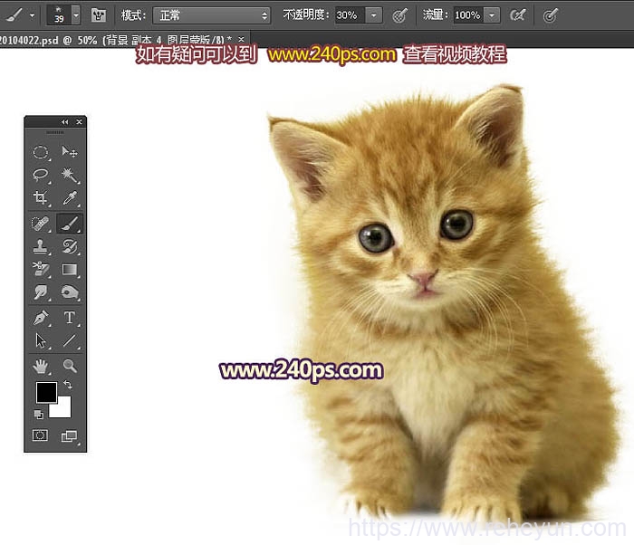 抠取可爱卖萌小猫图片换背景的PS教程 - 第17张  | 热河云