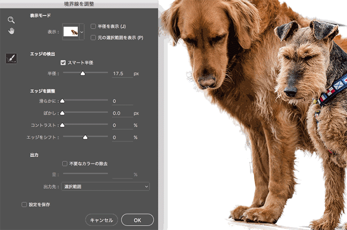 学习PS软件动画演示抠取毛绒小狗图片插图6