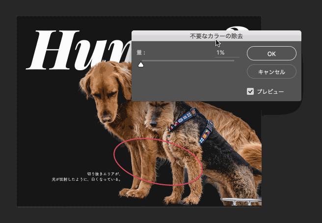 学习PS软件动画演示抠取毛绒小狗图片插图10