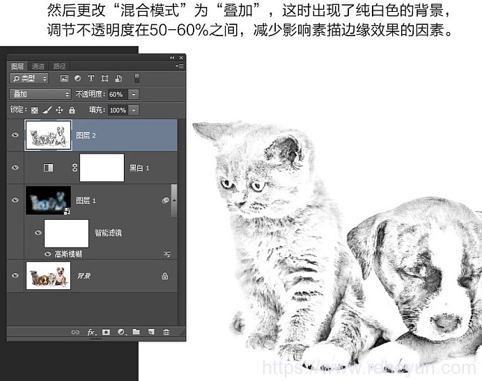 PS软件把照片转成专业黑白素描图片 - 第13张  | 热河云